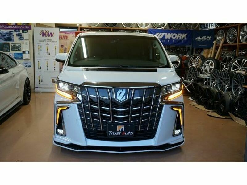 ALPHARD-12