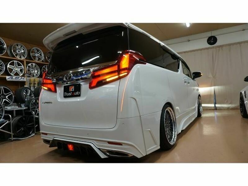 ALPHARD-13