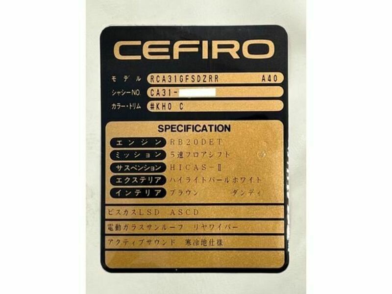 CEFIRO-10