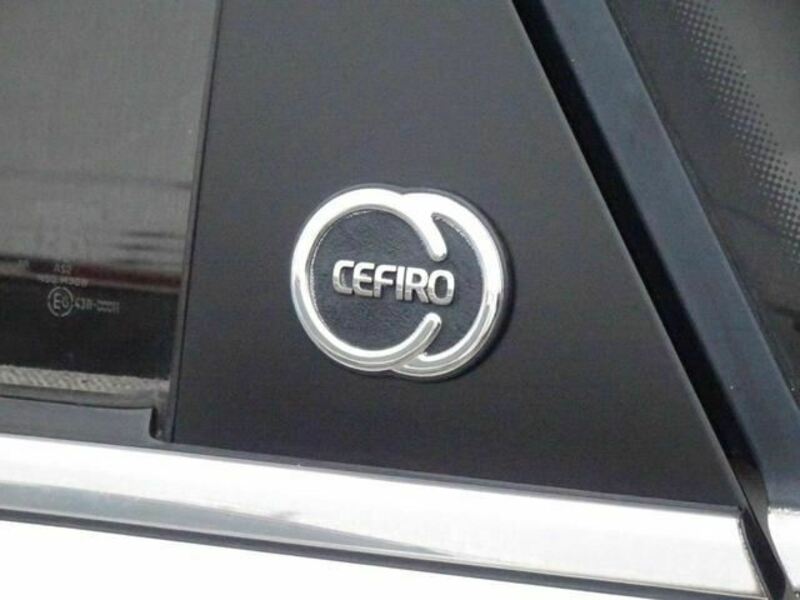 CEFIRO-17