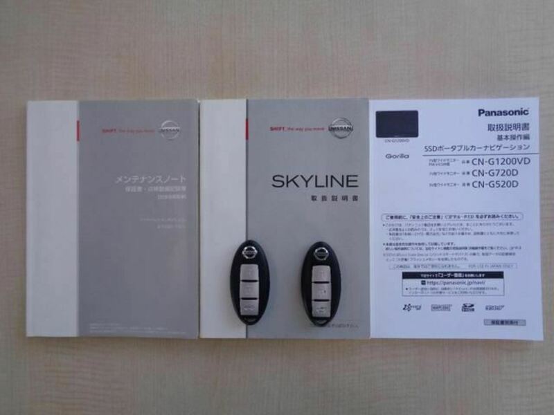 SKYLINE-38
