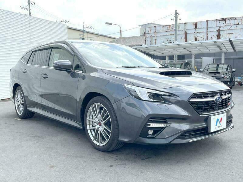 LEVORG