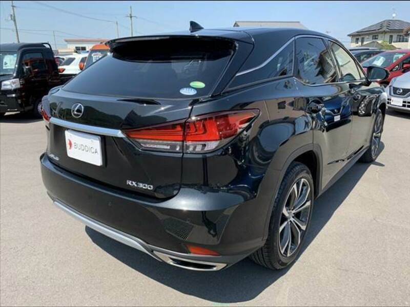 RX
