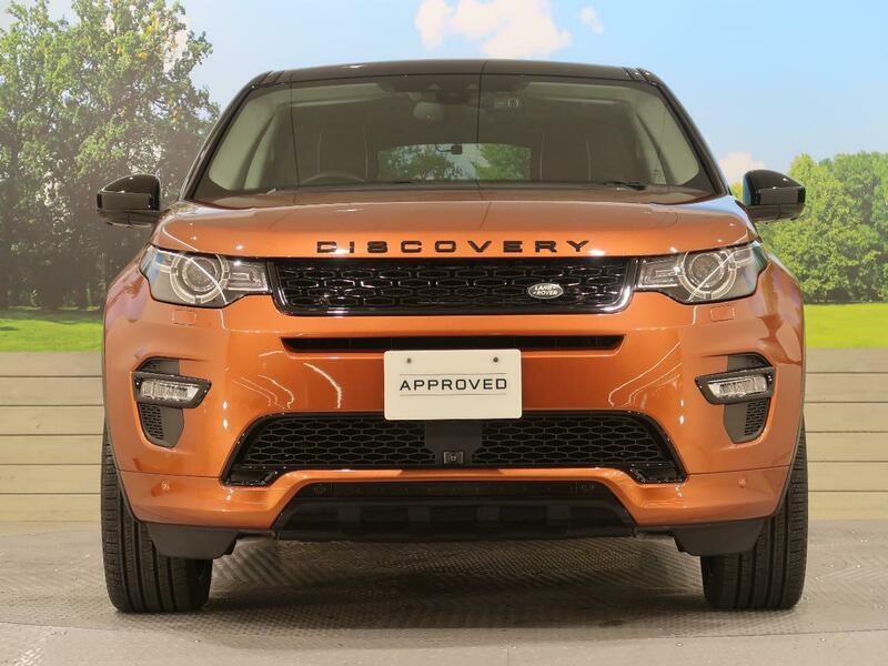 DISCOVERY SPORT-95