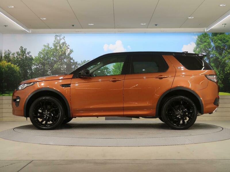 DISCOVERY SPORT-87