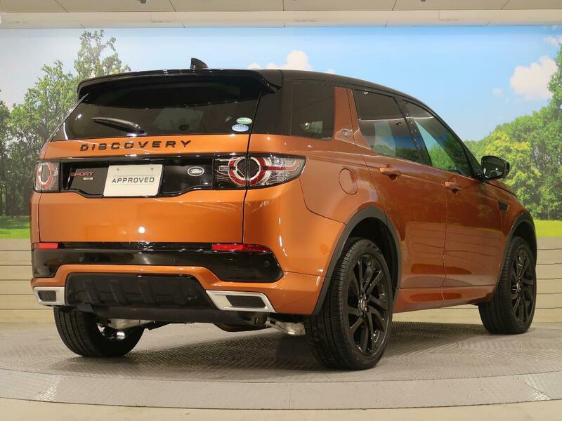 DISCOVERY SPORT-93