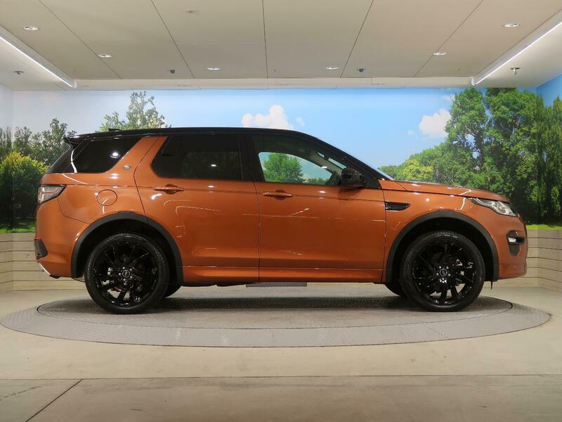 DISCOVERY SPORT-71