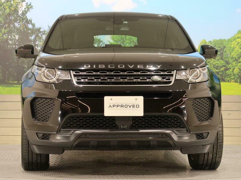 DISCOVERY SPORT-49