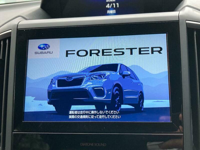FORESTER-33