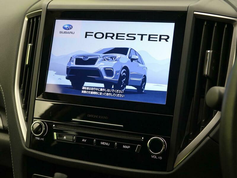 FORESTER-62