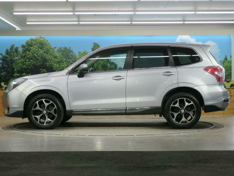 FORESTER-33