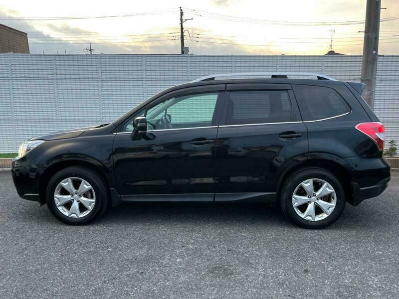 FORESTER