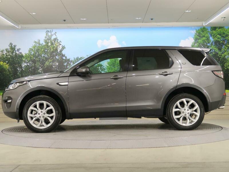 DISCOVERY SPORT-39