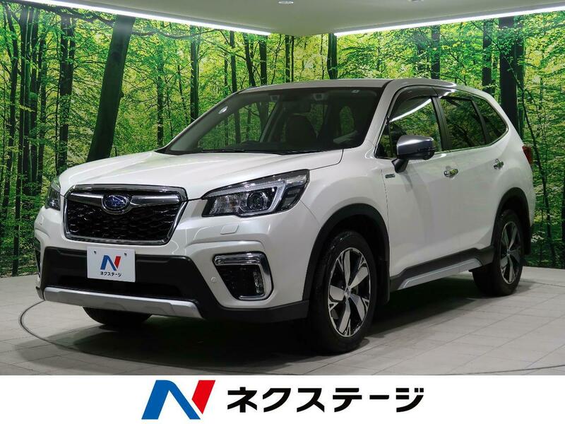 FORESTER-42