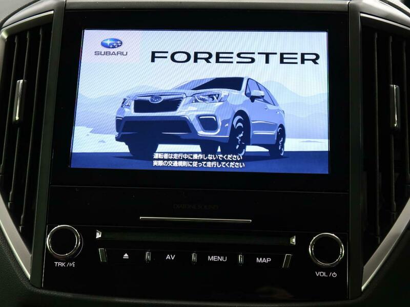 FORESTER-57