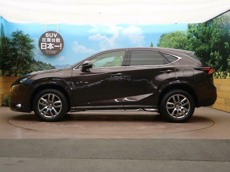 NX