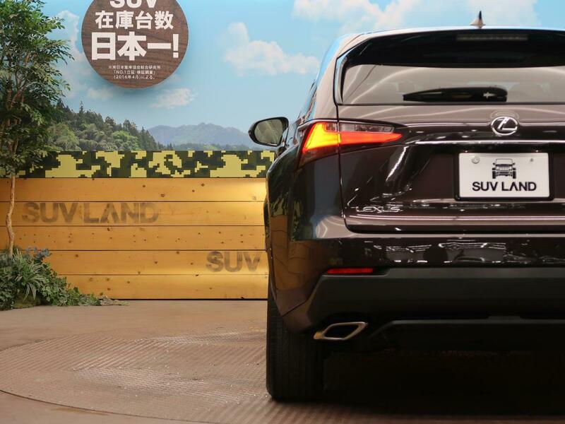 NX