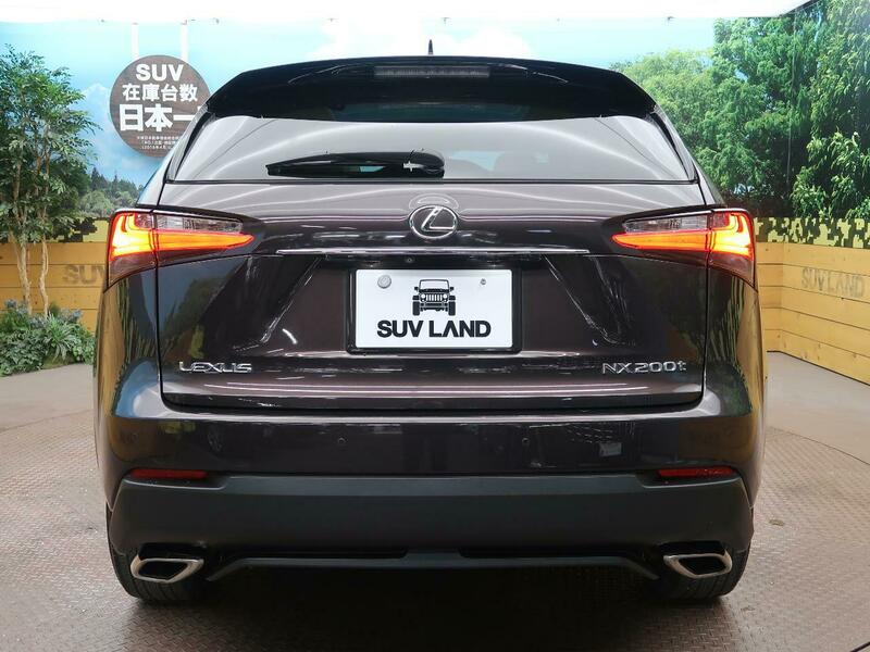 NX