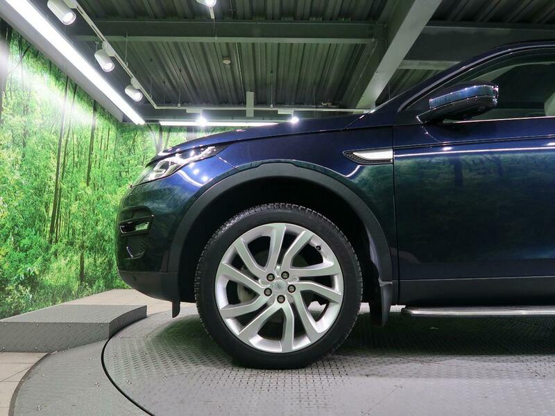 DISCOVERY SPORT-49