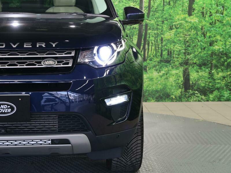 DISCOVERY SPORT-30