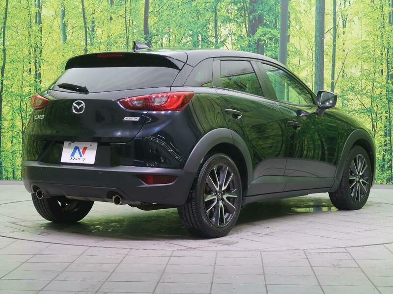 CX-3-3