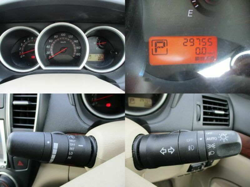 BLUEBIRD SYLPHY