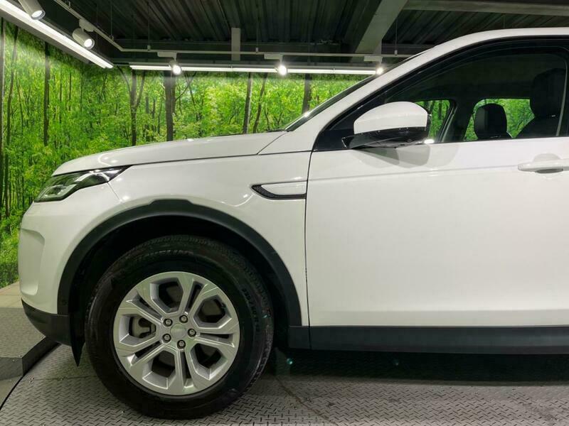 DISCOVERY SPORT-28