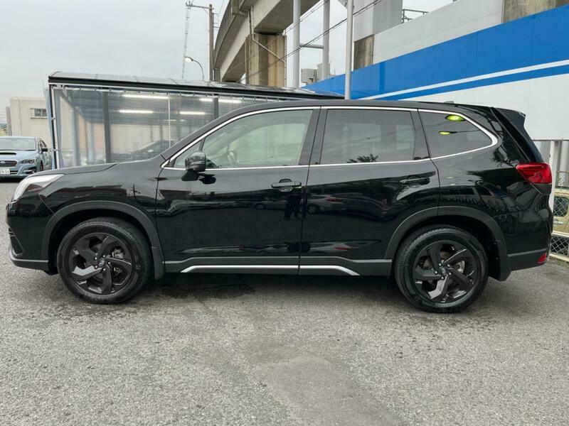 FORESTER