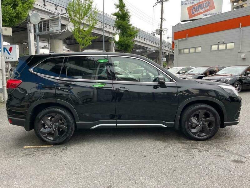 FORESTER