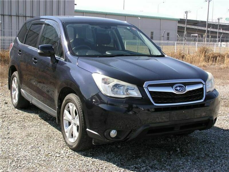 FORESTER