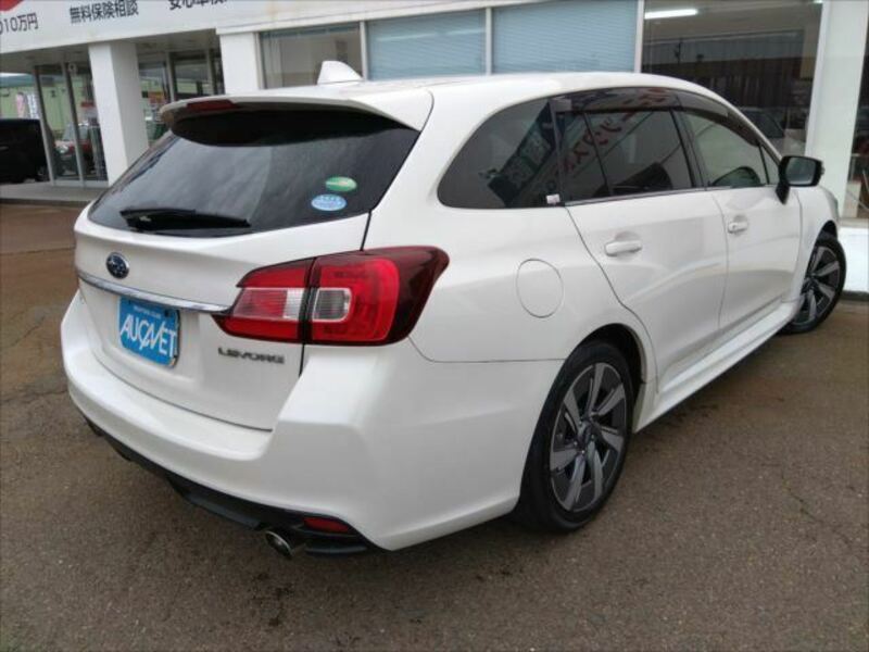 LEVORG