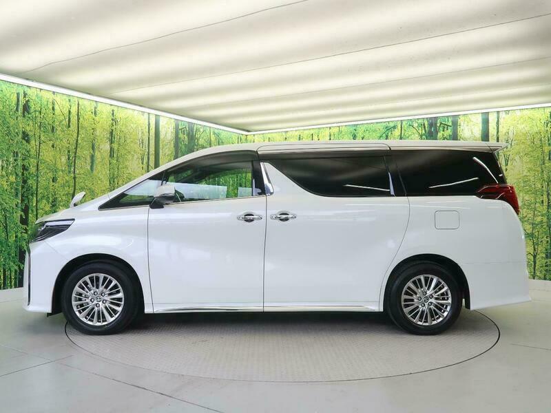 ALPHARD-12