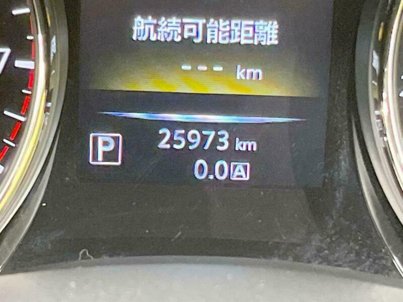 X-TRAIL-4