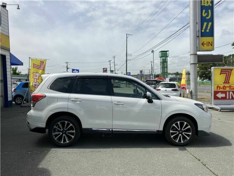 FORESTER-3