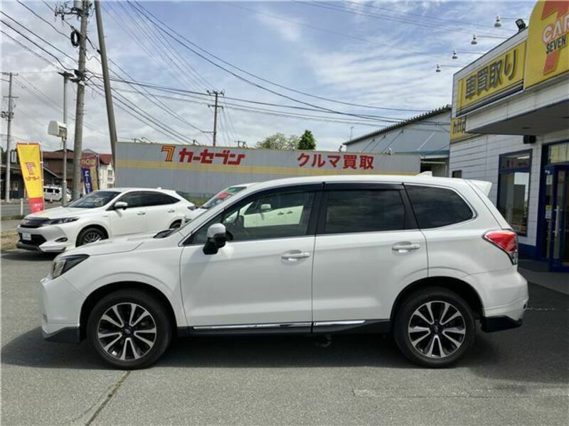 FORESTER-7