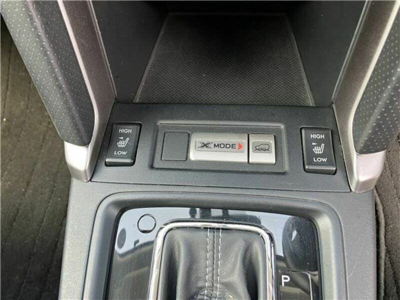 FORESTER-16