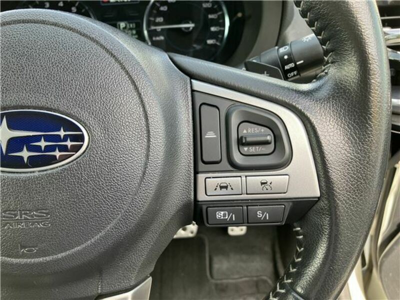 FORESTER-17