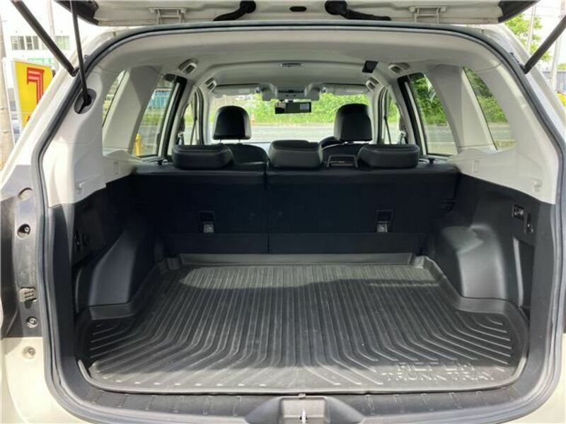 FORESTER-28
