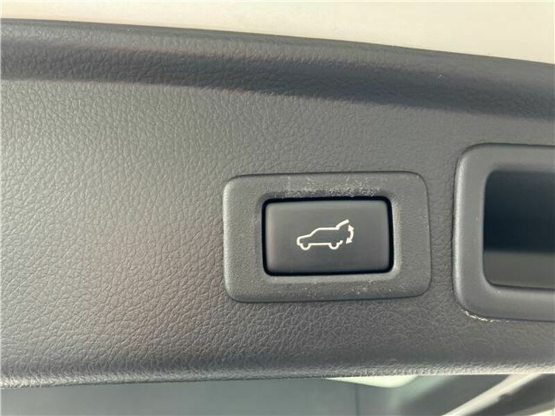 FORESTER-30