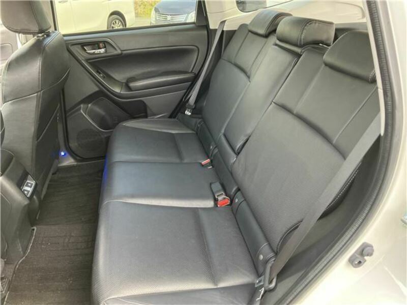 FORESTER-33