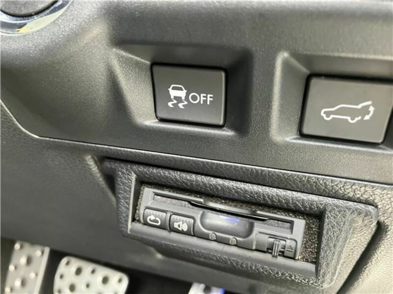 FORESTER-34