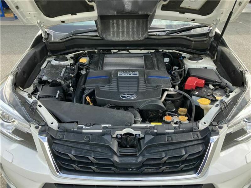 FORESTER-38