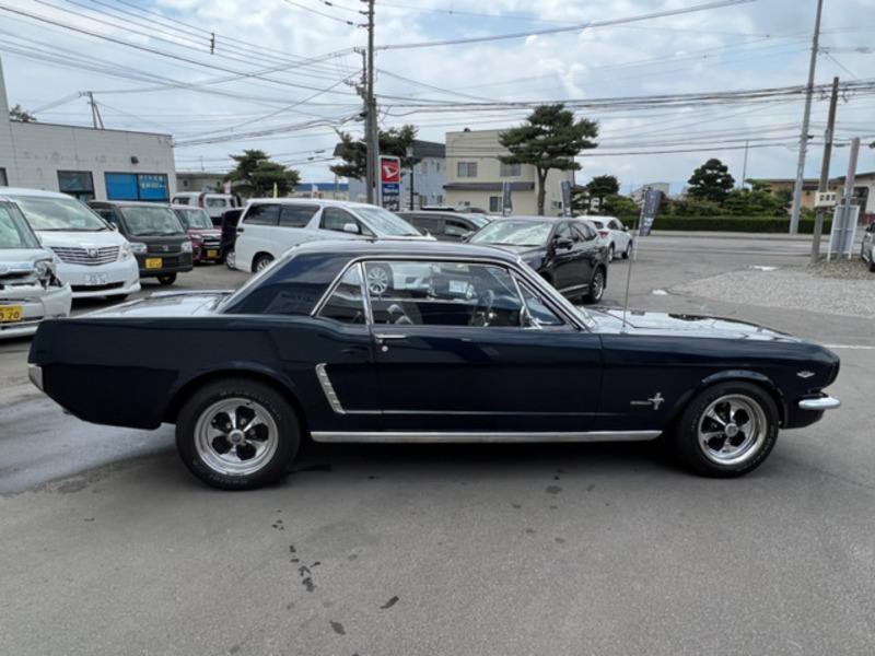 MUSTANG