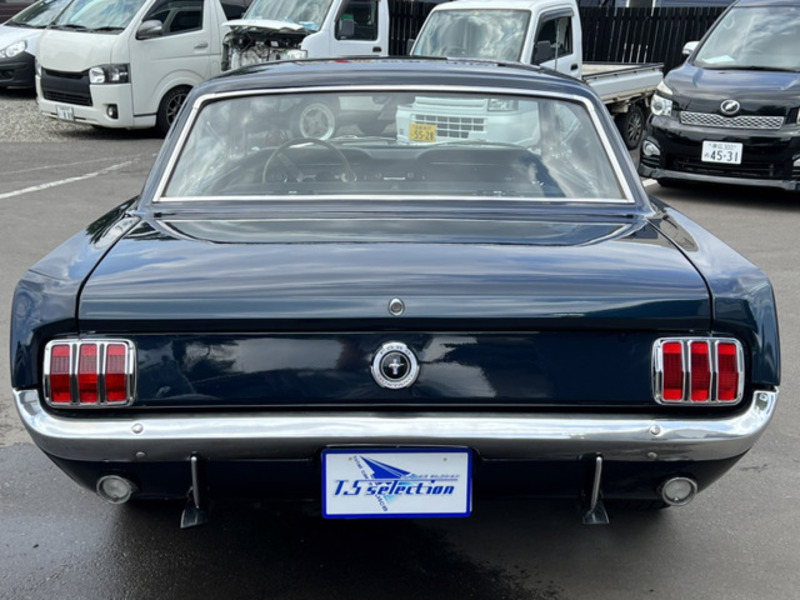 MUSTANG