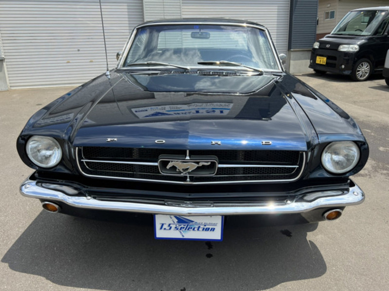 MUSTANG