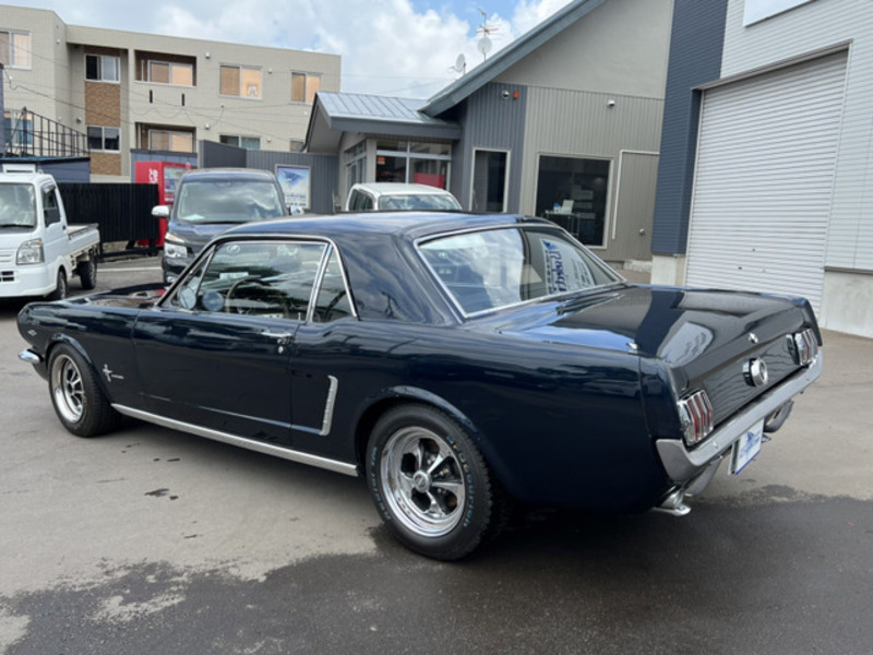 MUSTANG