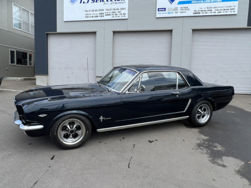 MUSTANG