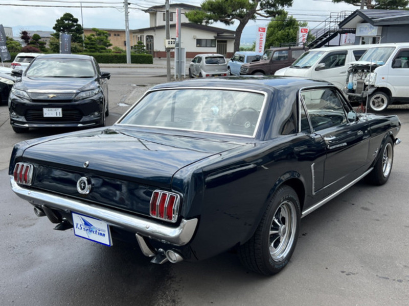 MUSTANG