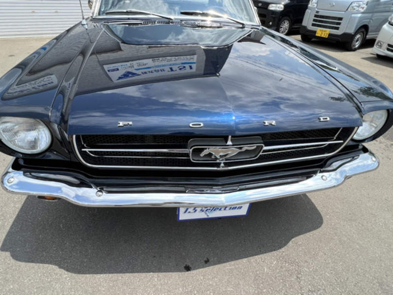 MUSTANG