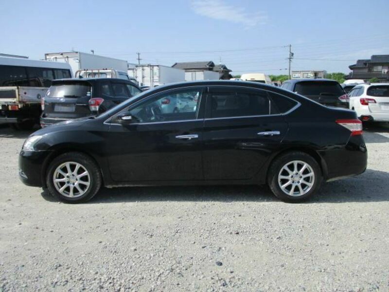 BLUEBIRD SYLPHY